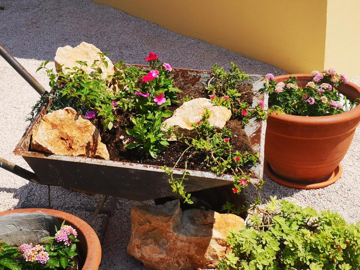 Atena Zaton Apartamento Nin Exterior foto